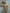 PRINCEJOCK™ | Rhinestone Mesh Crop Top & Briefs GoGo Boy Costume