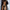 prince-wear Black / M ADANNU | Freedom Feel Sheer Brief