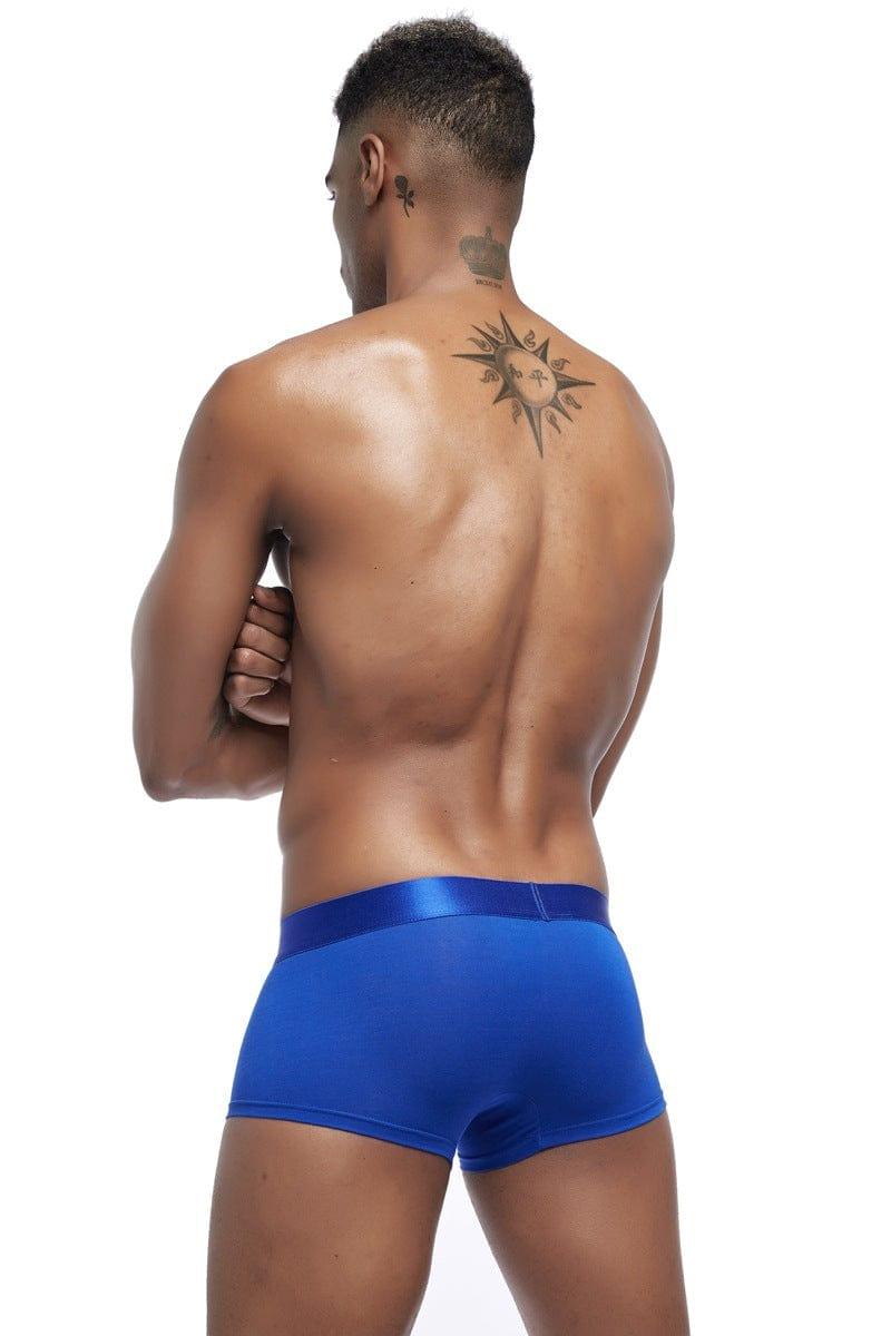 Daily wear|Gym sessions|Holiday parties|Pride events|Night gatherings|Breathable|Butt-lift design|Snug fit|Lightweight|Shaping|Waistline control|Slimming|Abdomen control|Comfort|Proper support|Stylish appearance|Festive mood|Body sculpting|Men's trunks|Low-rise underwear|Polyester pouch trunks|Core design trunks|Sexy trunks|Blue|Back view