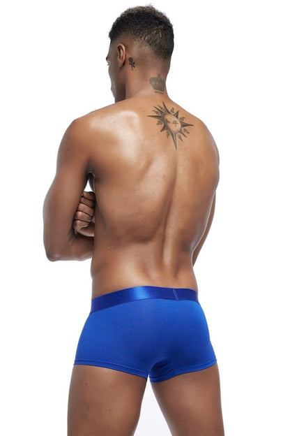 Daily wear|Gym sessions|Holiday parties|Pride events|Night gatherings|Breathable|Butt-lift design|Snug fit|Lightweight|Shaping|Waistline control|Slimming|Abdomen control|Comfort|Proper support|Stylish appearance|Festive mood|Body sculpting|Men's trunks|Low-rise underwear|Polyester pouch trunks|Core design trunks|Sexy trunks|Blue|Back view