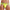 prince-wear popular products Yellow / M JOCKMAIL | Dynamic Jockstrap