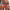 prince-wear popular products Orange / M JOCKMAIL | Rainbow Jockstrap