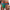prince-wear popular products Green / M JOCKMAIL | Rainbow Jockstrap