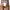 prince-wear popular products JOCKMAIL | Speed Jockstrap