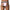 prince-wear popular products JOCKMAIL | Speed Jockstrap