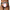 prince-wear popular products JOCKMAIL | Speed Jockstrap