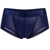 Daily wear|Gym sessions|Holiday parties|Pride events|Night gatherings|Breathable|Butt-lift design|Snug fit|Lightweight|Shaping|Waistline control|Slimming|Abdomen control|Comfort|Proper support|Stylish appearance|Festive mood|Body sculpting|Men's trunks|Low-rise underwear|Polyester pouch trunks|Vibrant sheer trunks|Sexy trunks|Sapphire Blue|3D Front view