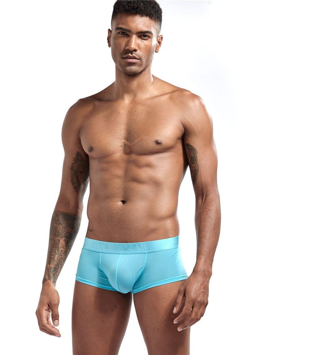 Daily wear|Gym sessions|Holiday parties|Pride events|Night gatherings|Breathable|Butt-lift design|Snug fit|Lightweight|Shaping|Waistline control|Slimming|Abdomen control|Comfort|Proper support|Stylish appearance|Festive mood|Body sculpting|Men's trunks|Low-rise underwear|Polyester pouch trunks|Vibrant sheer trunks|Sexy trunks|Sky Blue|Left Side view
