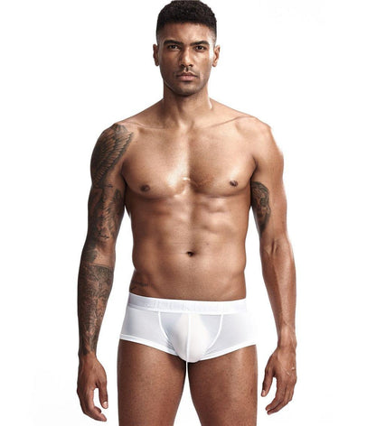 Daily wear|Gym sessions|Holiday parties|Pride events|Night gatherings|Breathable|Butt-lift design|Snug fit|Lightweight|Shaping|Waistline control|Slimming|Abdomen control|Comfort|Proper support|Stylish appearance|Festive mood|Body sculpting|Men's trunks|Low-rise underwear|Polyester pouch trunks|Vibrant sheer trunks|Sexy trunks|White|Front view