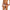 prince-wear ORLVS | Sports Jockstrap