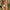 prince-wear popular products ORLVS | Want-to-Play Bikini Brief