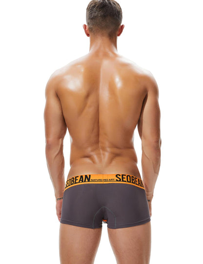 Daily wear|Summer lounging|Gym sessions|Pride events|Beachwear|Breathable|Lightweight|Mesh fabric|Coolness|Ventilation|Comfort|Minimal coverage|Men's trunks|Low-rise underwear|Mesh trunks|Sexy mesh underwear|Coffee|Back view