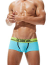 Daily wear|Summer lounging|Gym sessions|Pride events|Beachwear|Breathable|Lightweight|Mesh fabric|Coolness|Ventilation|Comfort|Minimal coverage|Men's trunks|Low-rise underwear|Mesh trunks|Sexy mesh underwear|Sky Blue|Front view2